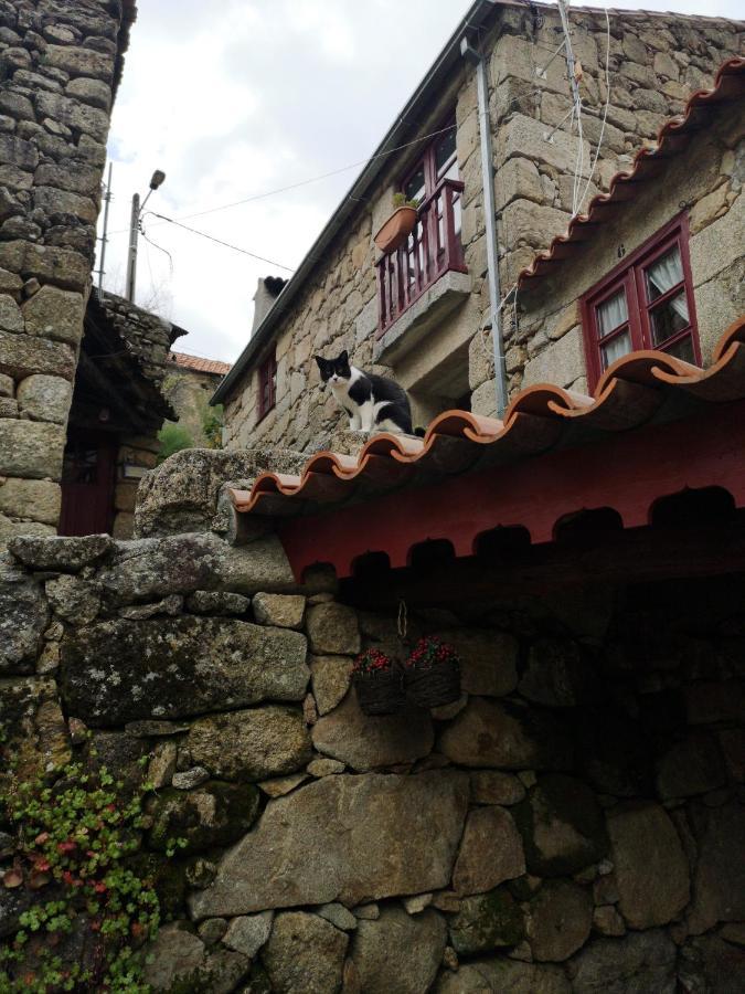 Casas Na Terra Villa Seia Luaran gambar