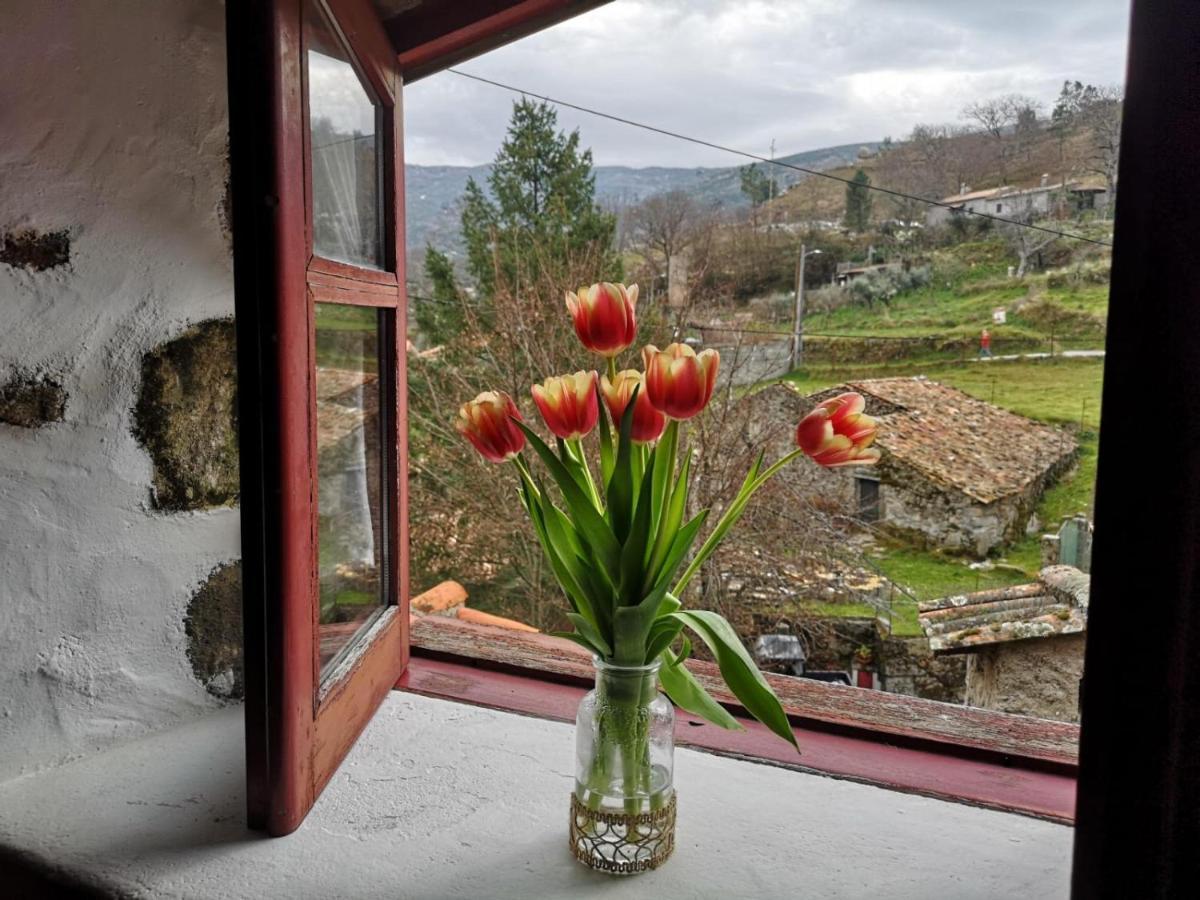Casas Na Terra Villa Seia Luaran gambar